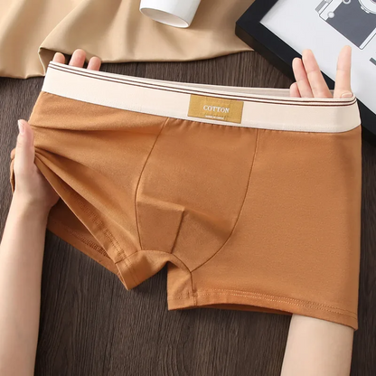 ESTRAVENO COTTON BOXER BRIEFS