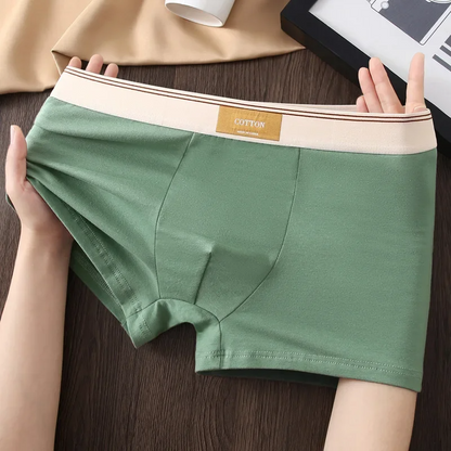 ESTRAVENO COTTON BOXER BRIEFS