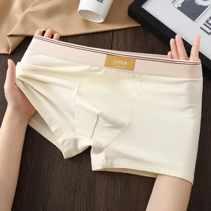ESTRAVENO COTTON BOXER BRIEFS